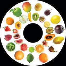 SNAP Projector Wheels- Style: Fruit