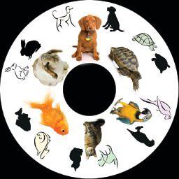 6 Inch Projector Wheel - Pets Scene