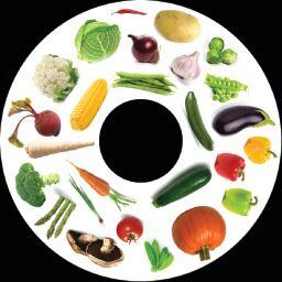 SNAP Projector Wheels- Style: Vegetables