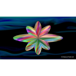 Sensory Liquid DVD - CDs DVDs Sensory Toy