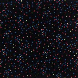UV Carpet Starry Night 6x6