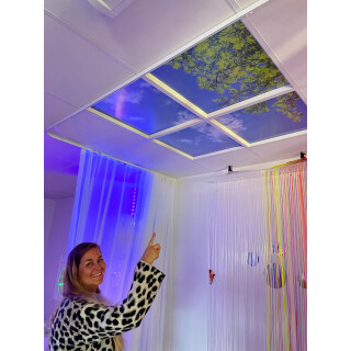Lumlyx Taktavla Natur LED 60x60cm