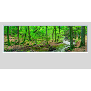 Väggfönster Natur LED 80x150cm
