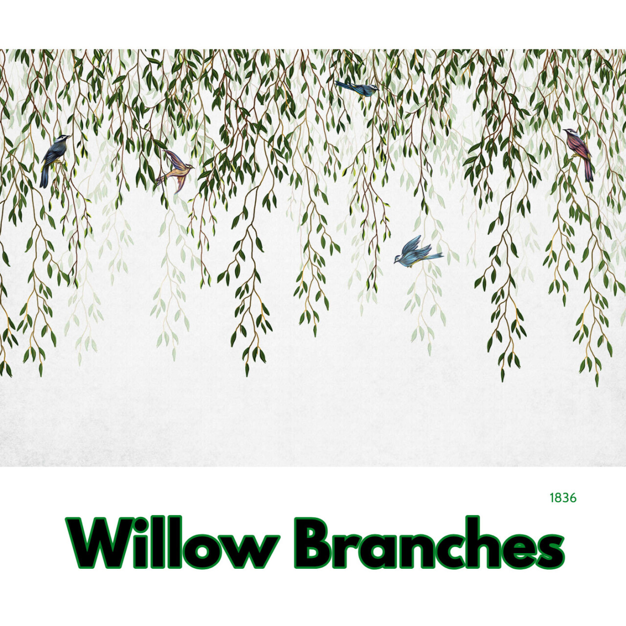 Willow Canada