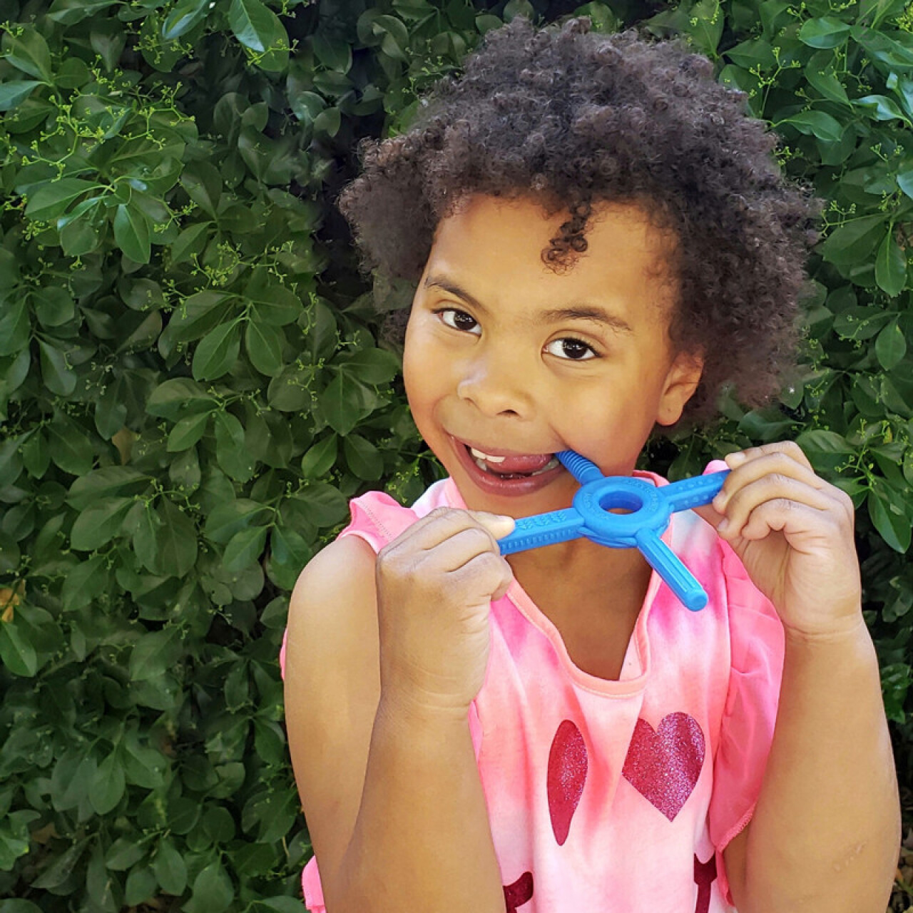 ARK'S Tetra-Bite® Chewy Fidget