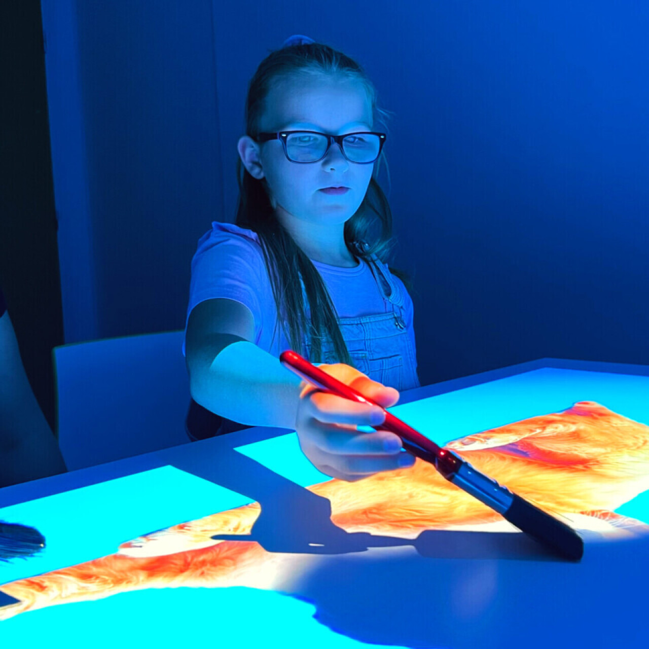 omiVista Budii with Flip Stand