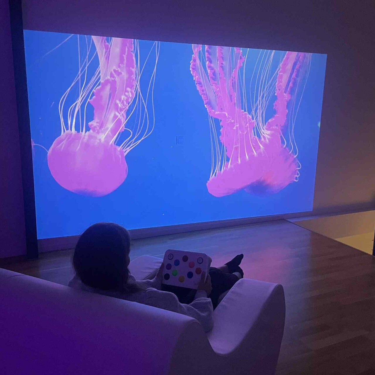 TFH Chromatheme - Multisensorisk Projicering