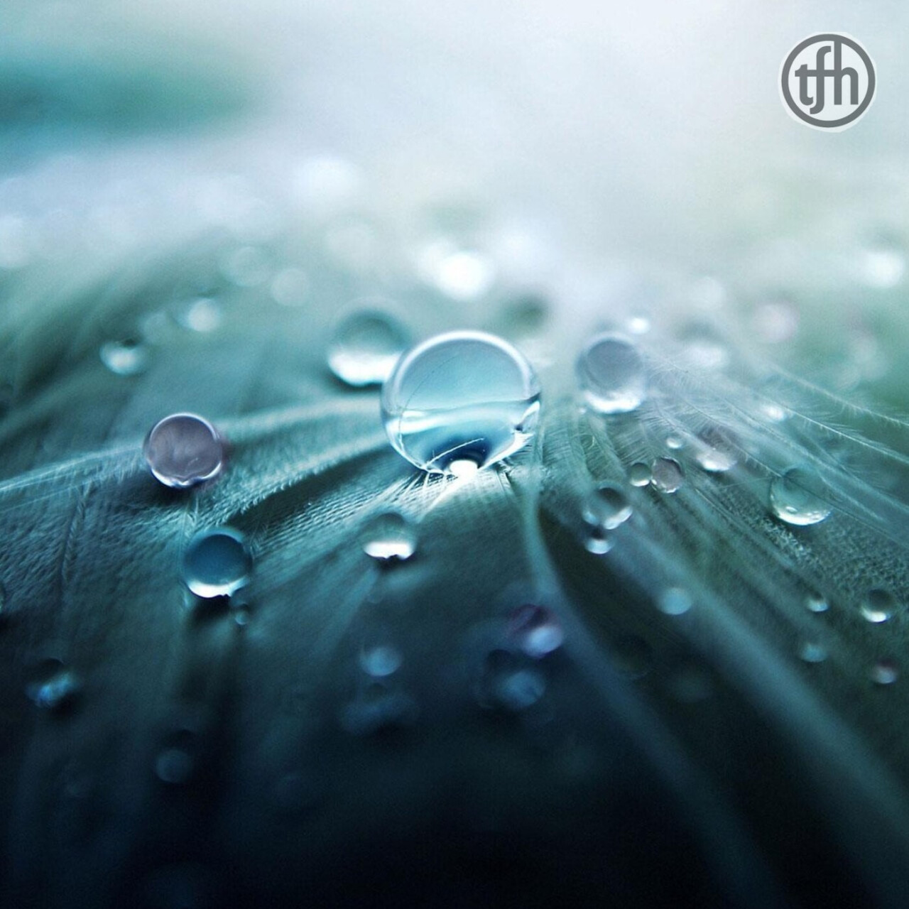 Demineralized water is best to buy locally Demineralized water is best to buy locally