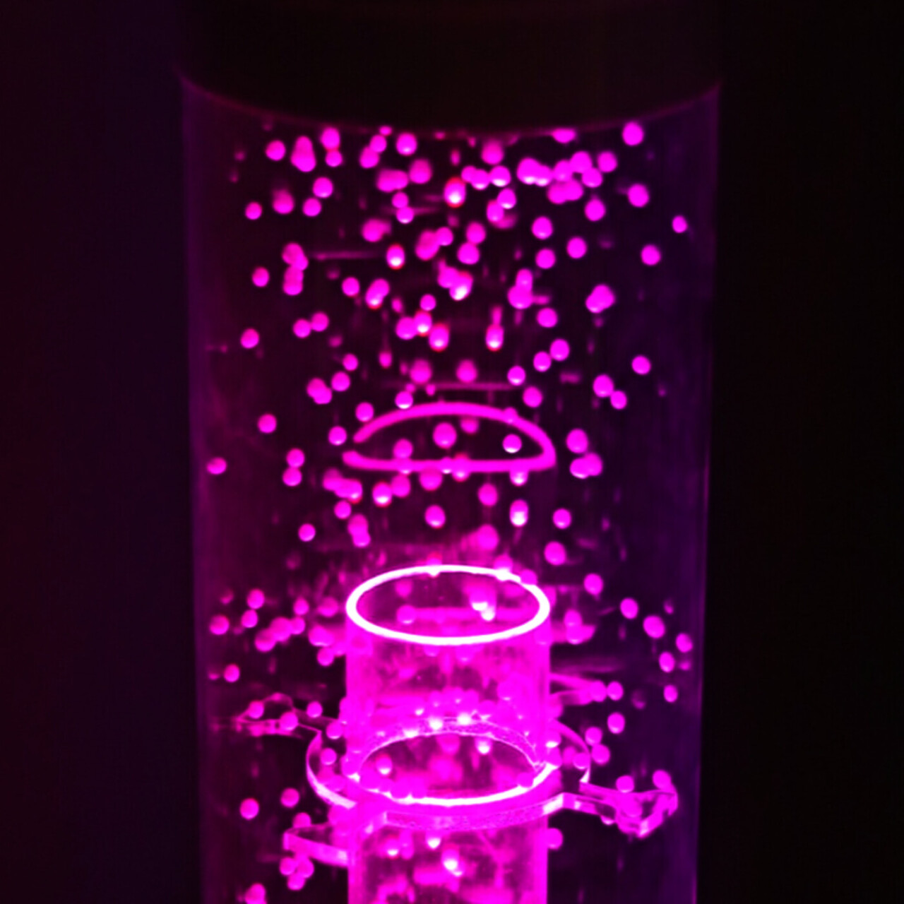 Vecta Budii with Hurricane